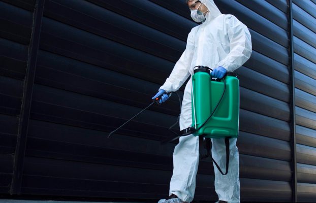 Disinfestazioni Scarafaggi: Come Sbarazzarsi di Questi Fastidiosi Insetti in Modo Efficace